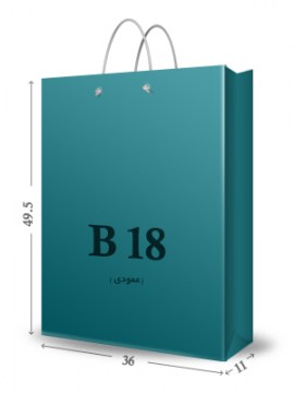 ساک دستی عمودی B18